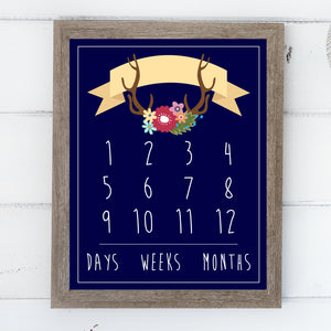 Additional Insert: Boho Numbers - Baby Day/Week/Month Tracker